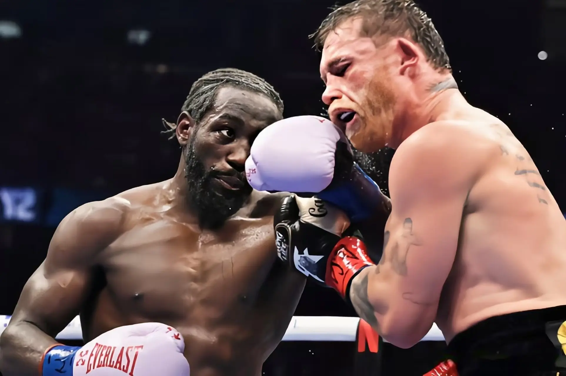 又能调整到, 阿尔吉里, msn 又能调整到, 阿尔吉里, msn